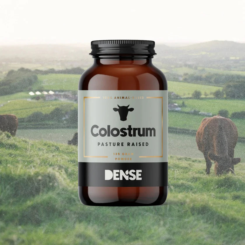 Colostro da mucche al pascolo