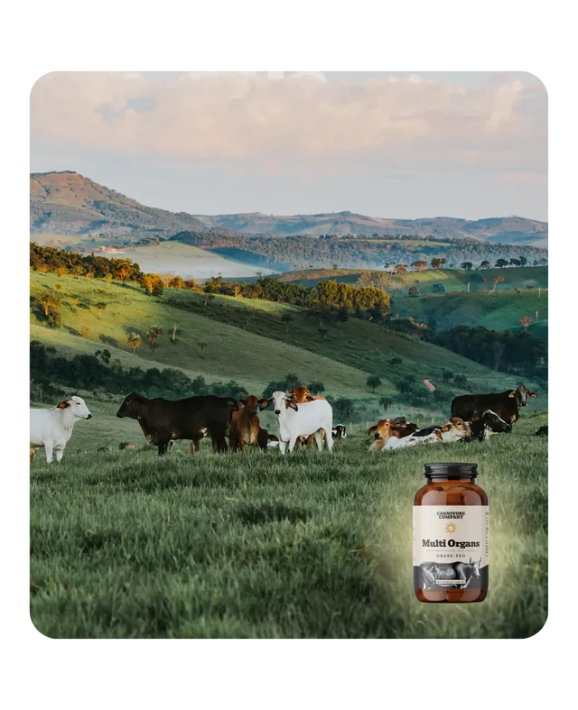 Multi Organs - Mix di Organi Grass Fed