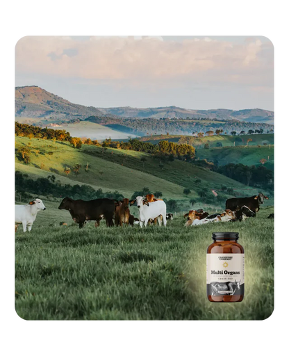 Multi Organs - Mix di Organi Grass Fed