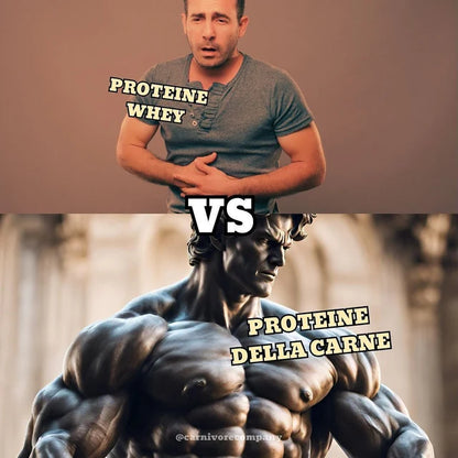 Proteine della Carne Grass Fed senza Lattosio – Nutrizione Pura e Naturale di HORMONALIA